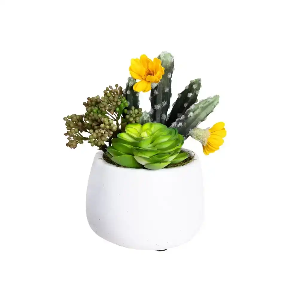 Glamorous Fusion Succulent Artificial Faux Plant Decorative 20cm In Small Pot