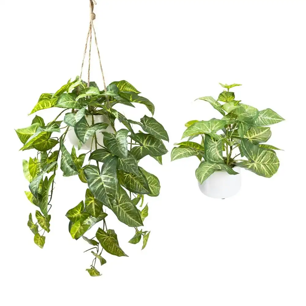 Glamorous Fusion Potted Syngonium Artificial Faux Plant Decorative Set Green