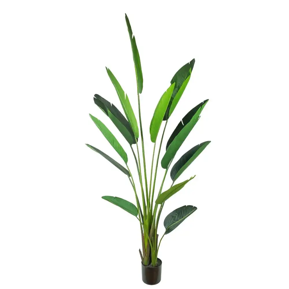 Glamorous Fusion Traveller Palm Tree Artificial Fake Plant Decorative 240cm In Pot - Green