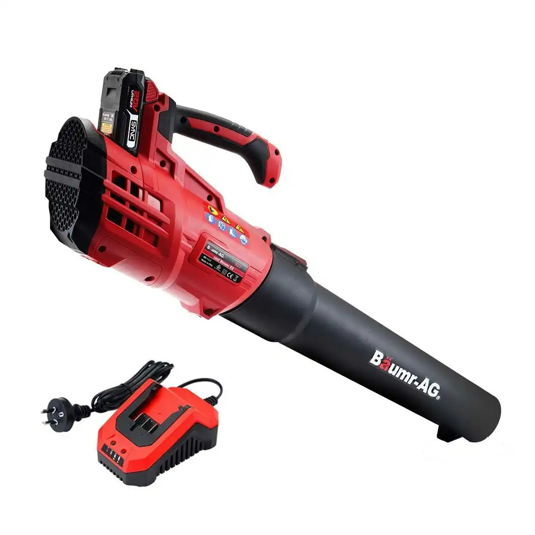 Baumr-AG 20V Cordless Electric Leaf Blower Hand-held Garden Tool, 2.0Ah Lithium Battery with Charger
