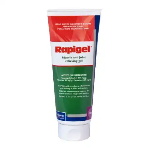 RAPIGEL Muscle and Joint Squeeze Tube 200 GM