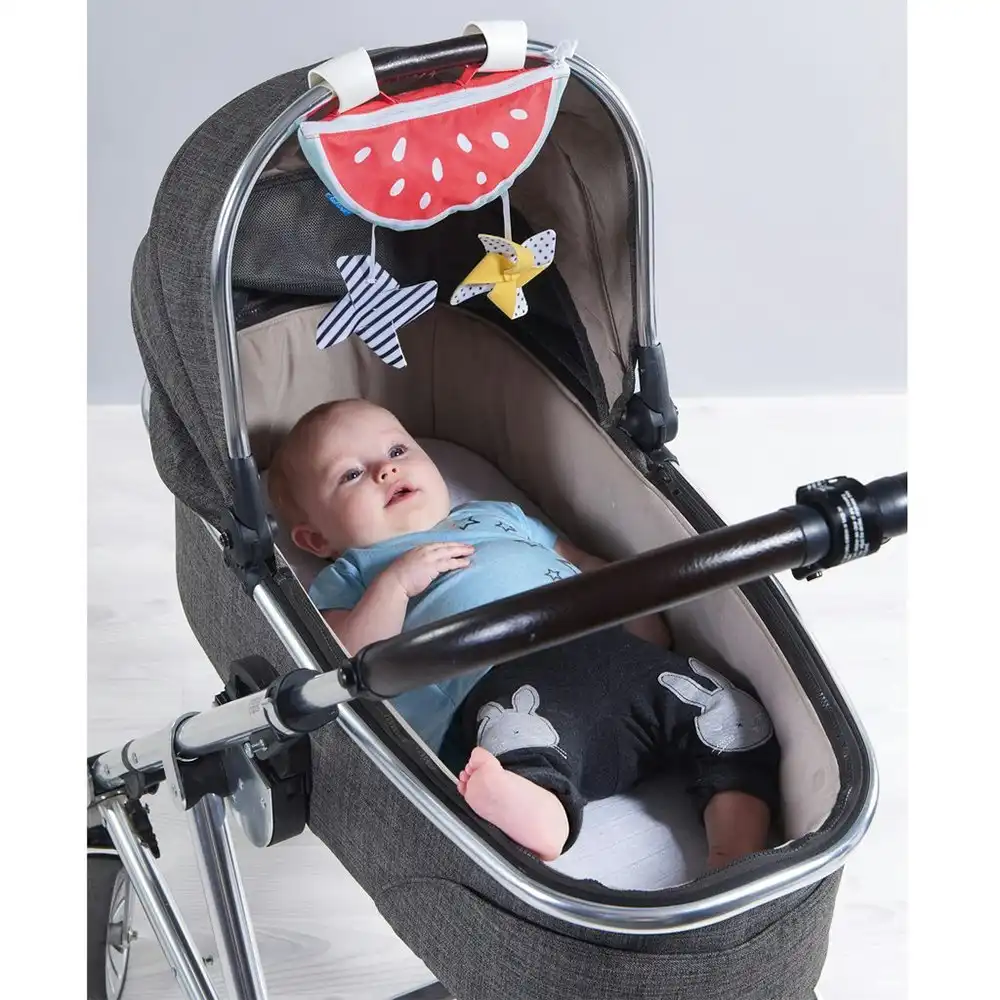 Taf Toys Sun Shade Protection For Pram/Stroller/Car Seat Baby 0m+ Watermelon