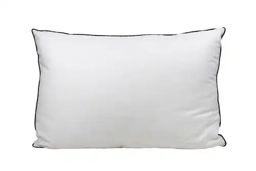 Odyssey Living Silk Blend Pillow - 800GMS