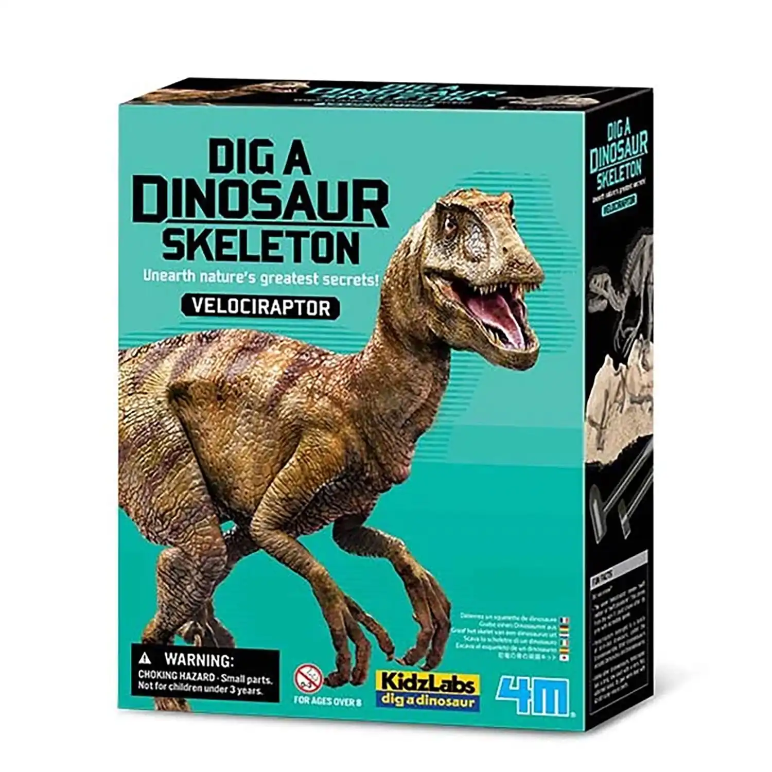 4M - Dig a Dinosaur (Velociraptor)