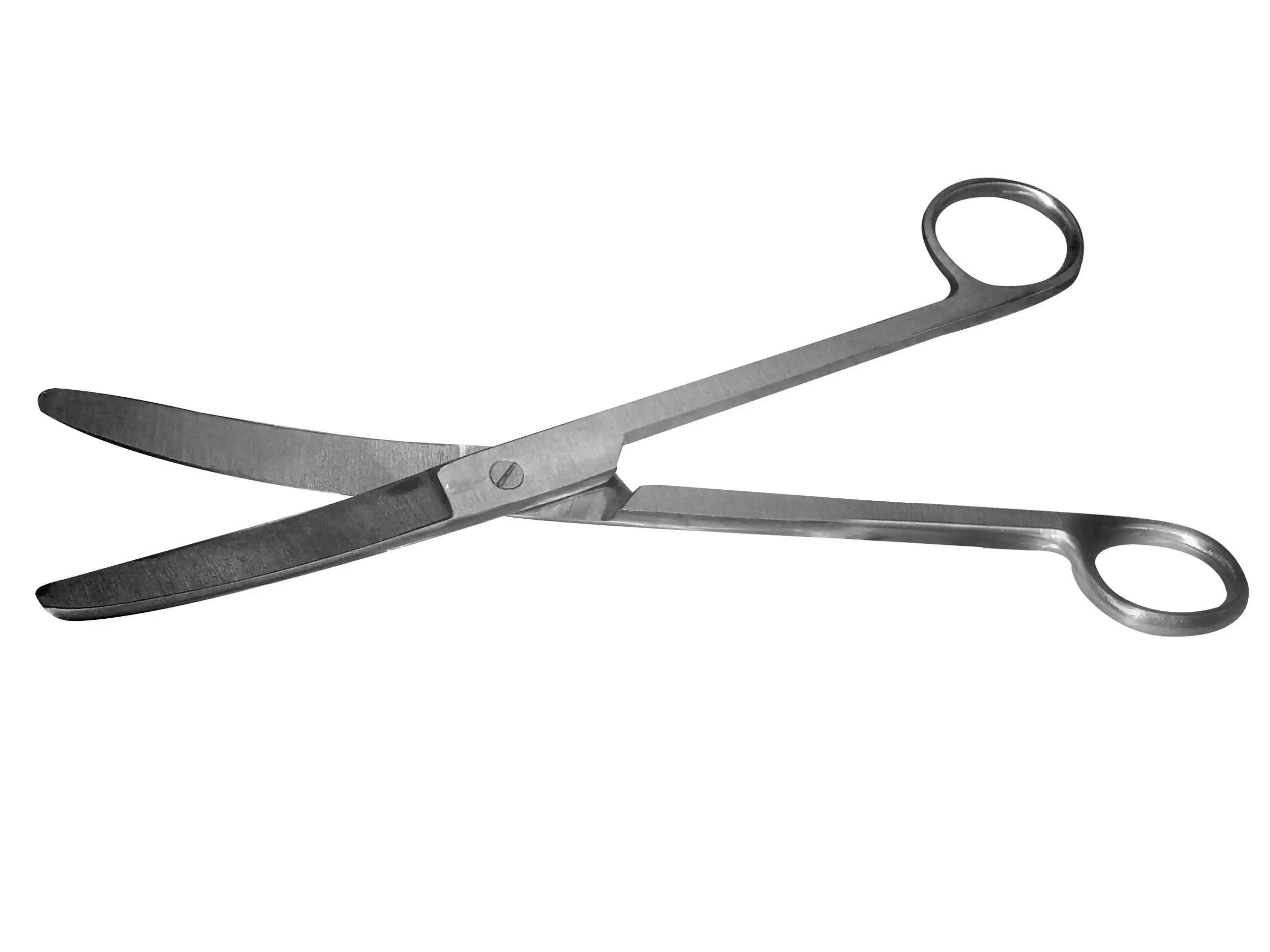 Livingstone Surgical Scissors 20cm Blunt/Blunt Curved Stainless Steel