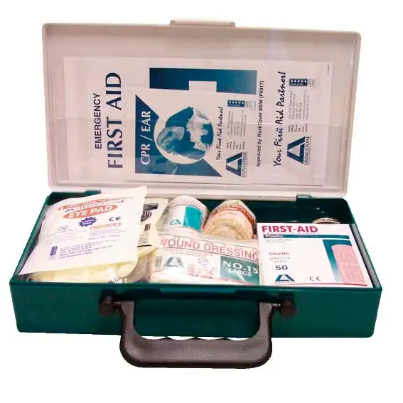 Livingstone Small Work Vehicle First Aid Kit Complete Set In Recyclable Plastic Case