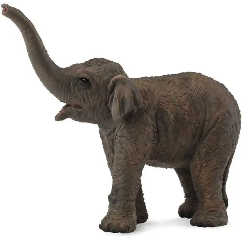 Collecta - Asian Elephant Calf Animal Figurine