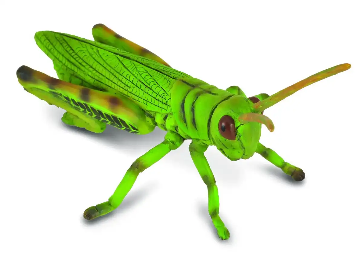Collecta Grasshopper Animal Figurine