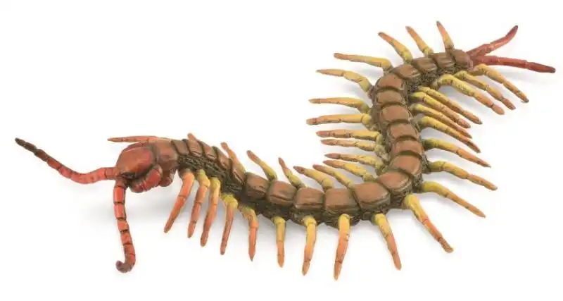 Collecta Centipede Animal Figurine
