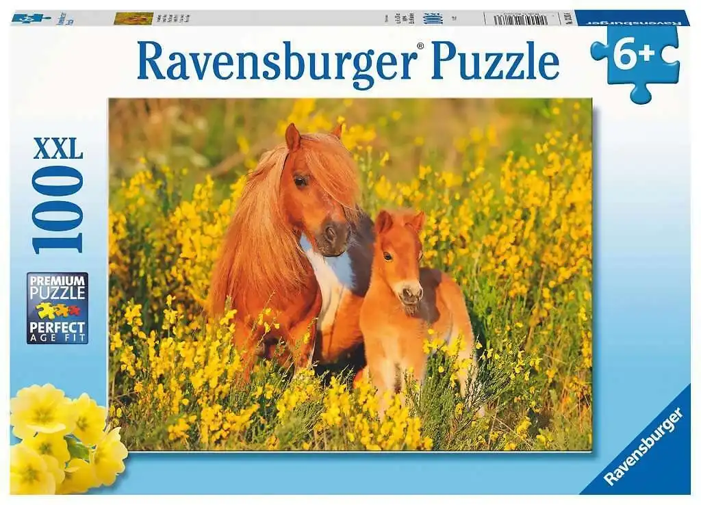 Ravensburger - Shetland Ponies Jigsaw Puzzle 100 Pieces