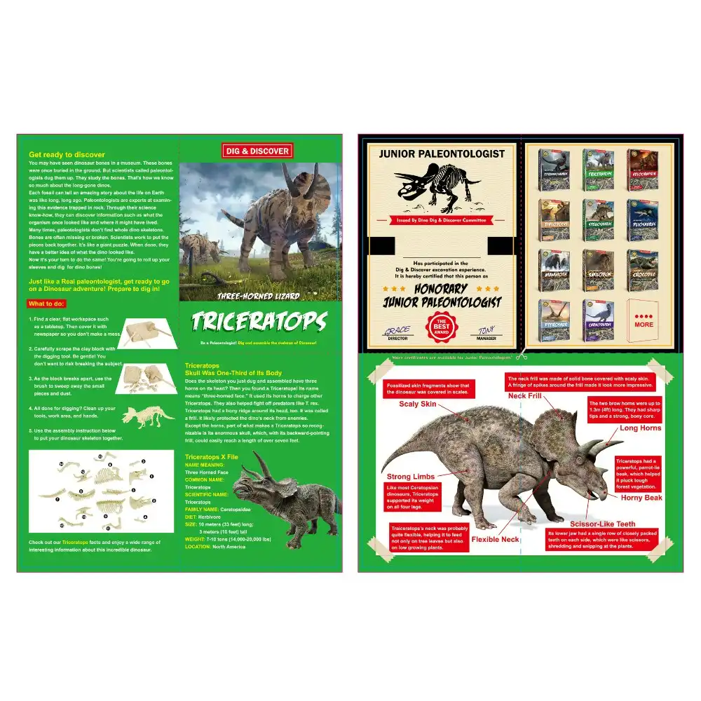 2PK Kaper Kidz Childrens Dig & Discover Triceratops Dig/Excavation Kits 6y+