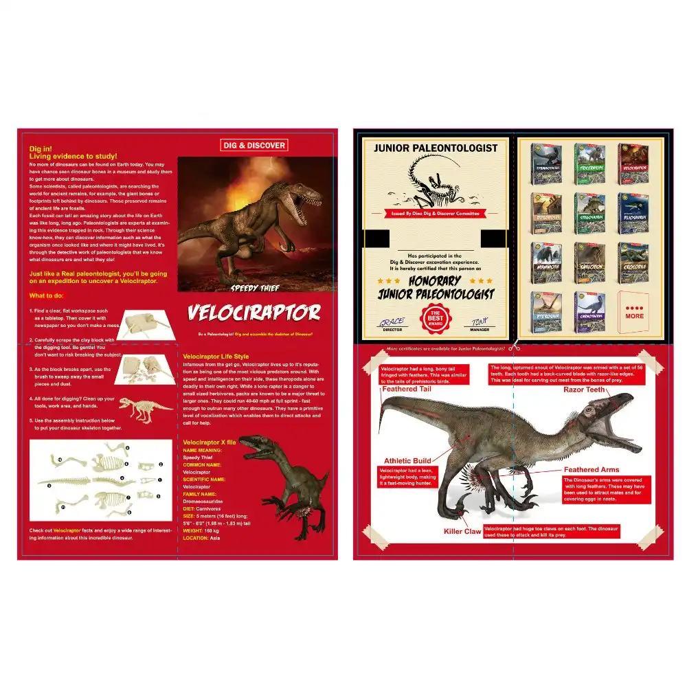 2PK Kaper Kidz Childrens Dig & Discover Velociraptor Dig/Excavation Kits 6y+