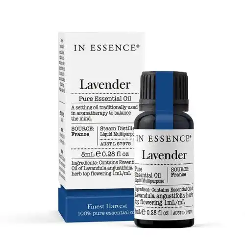 In Essence Shop Lavender Pure Essential Oil