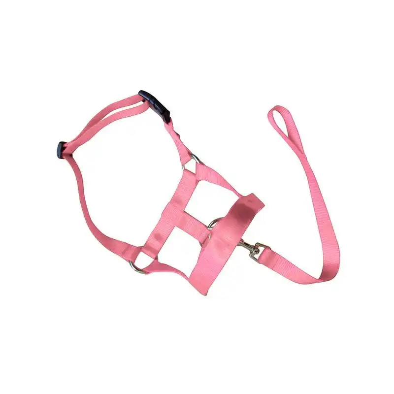 Pink Dog Training Head Collar Halter Stop Pulling Training Tool Harness Strap Leader