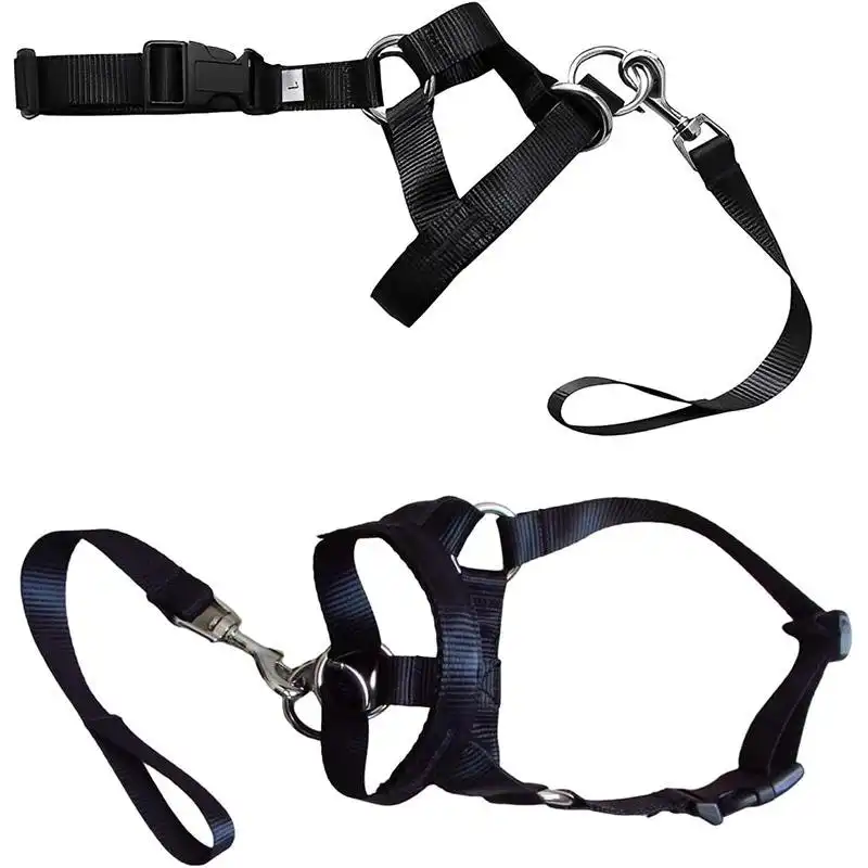 Black Dog Training Head Collar Halter Stop Pulling Training Tool Harness Strap Leader