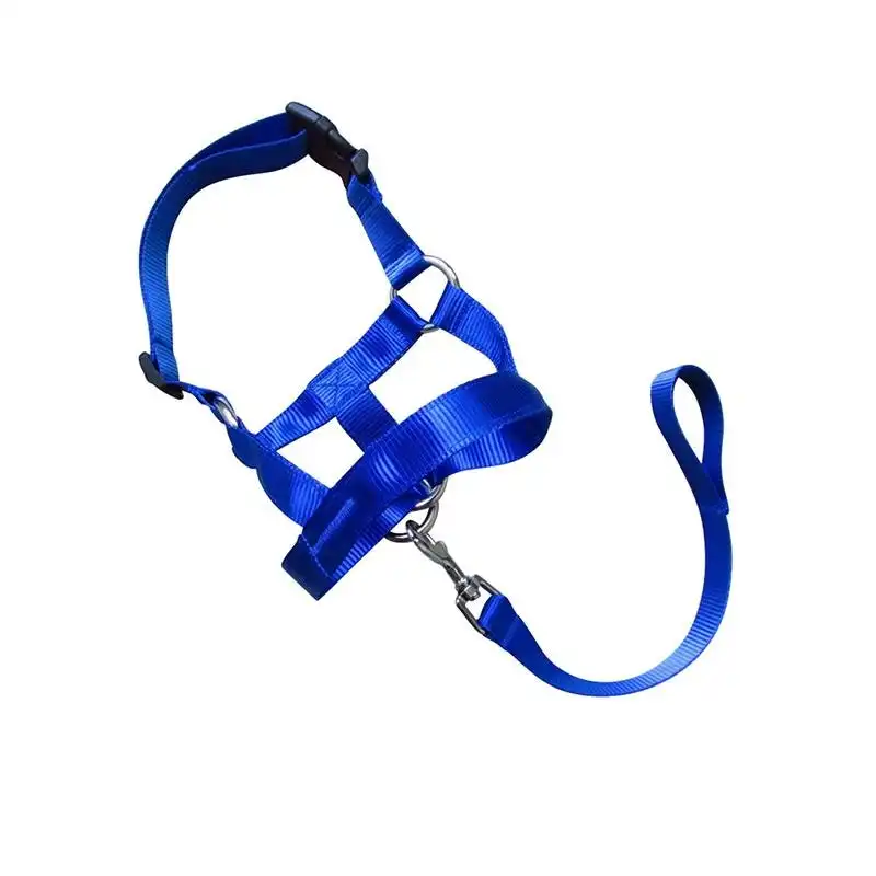 Blue Dog Training Head Collar Halter Stop Pulling Training Tool Harness Strap Leader