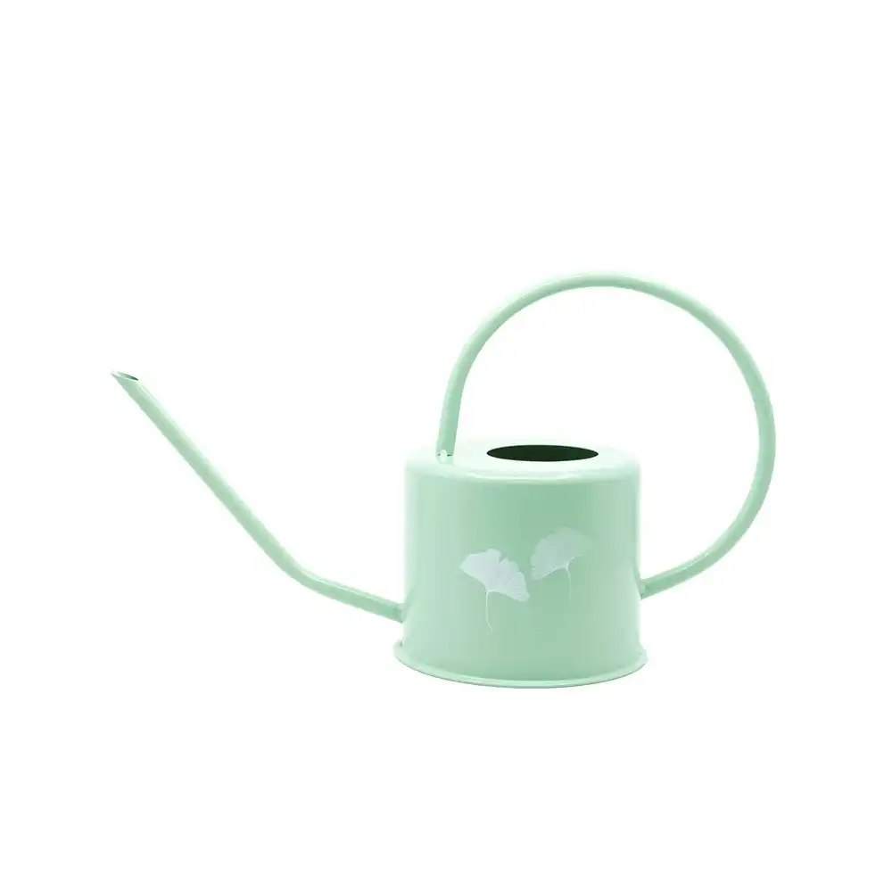 Rayell Ginkgo 36cm Metal Watering Can Gardening Container Home/Garden Pistachio