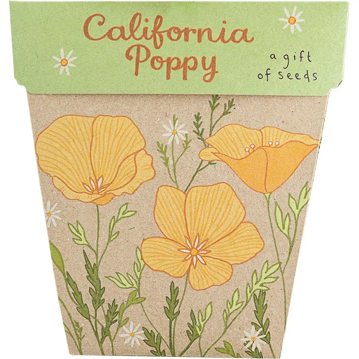 SOW 'N SOW Gift of Seeds California Poppy 1