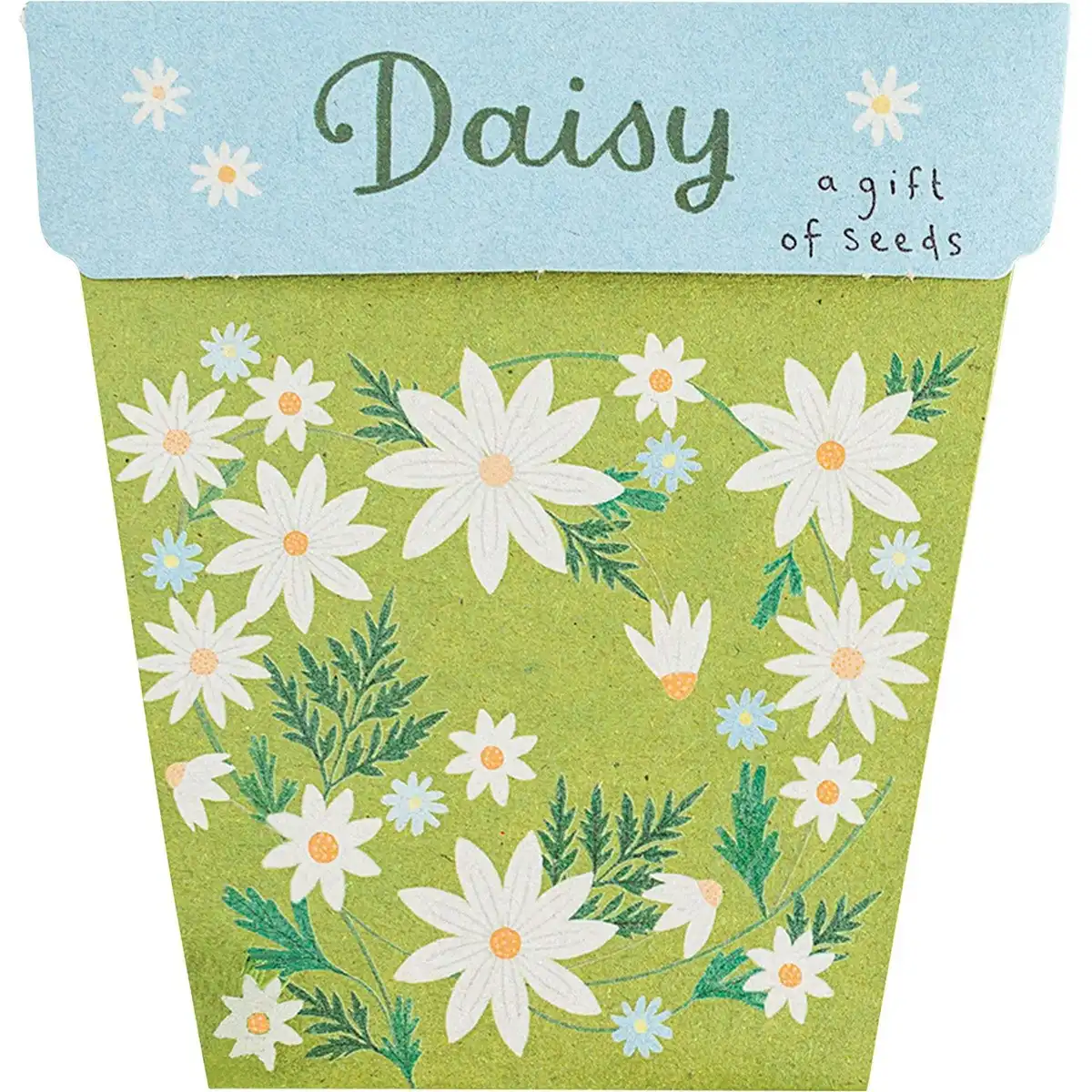 SOW 'N SOW Gift of Seeds Daisy 1