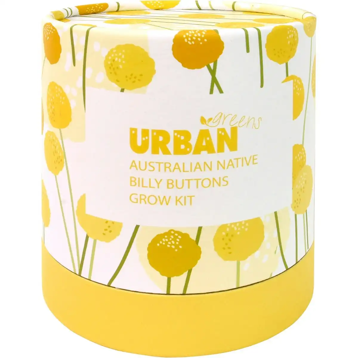 URBAN GREENS Australian Native Grow Kit Billy Buttons 1