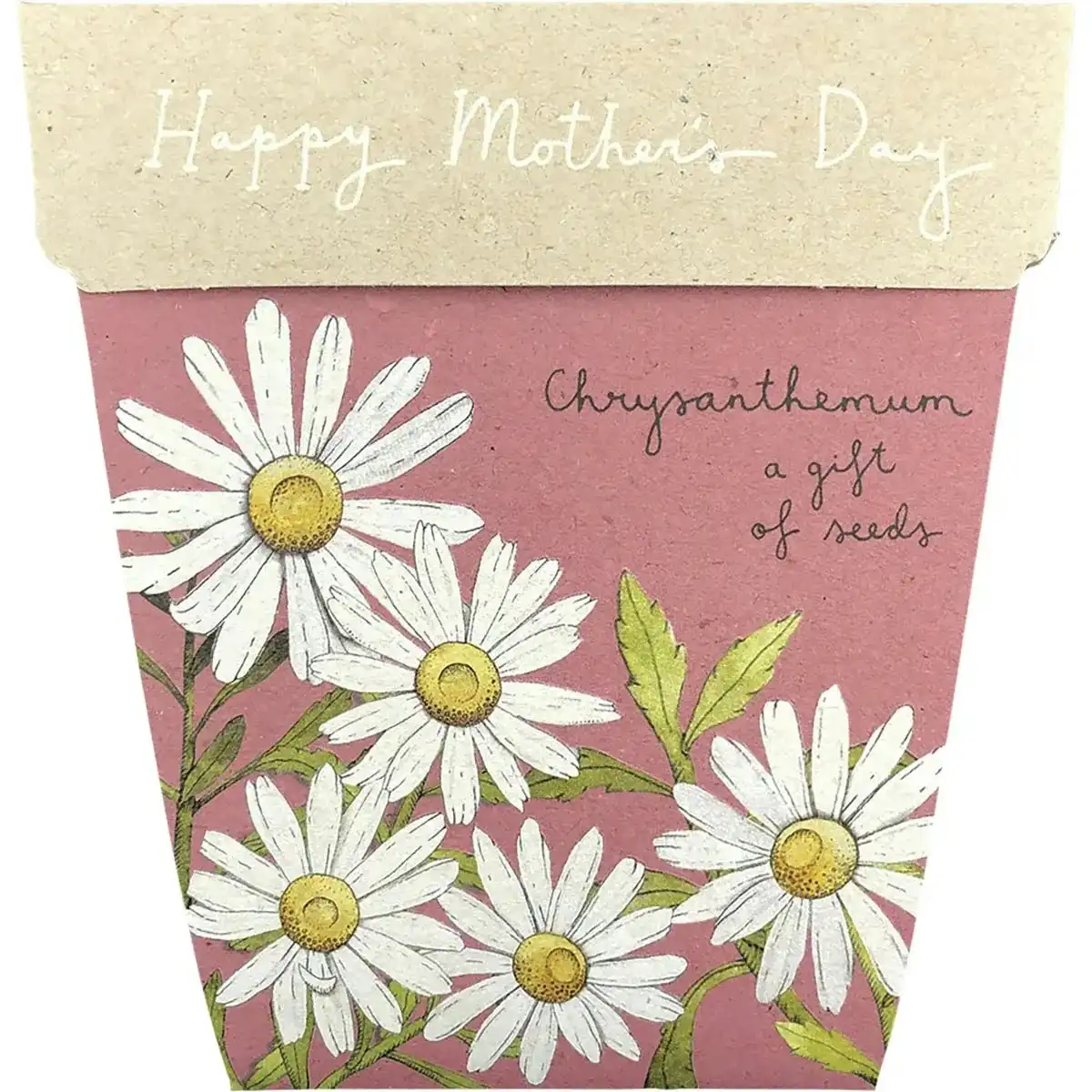 SOW 'N SOW Gift of Seeds Mother's Day Chrysanthemum 1