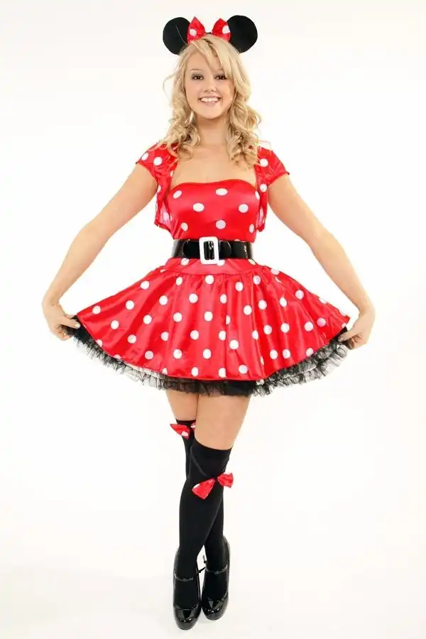 Minnie Mouse Dress Up Womens Costume