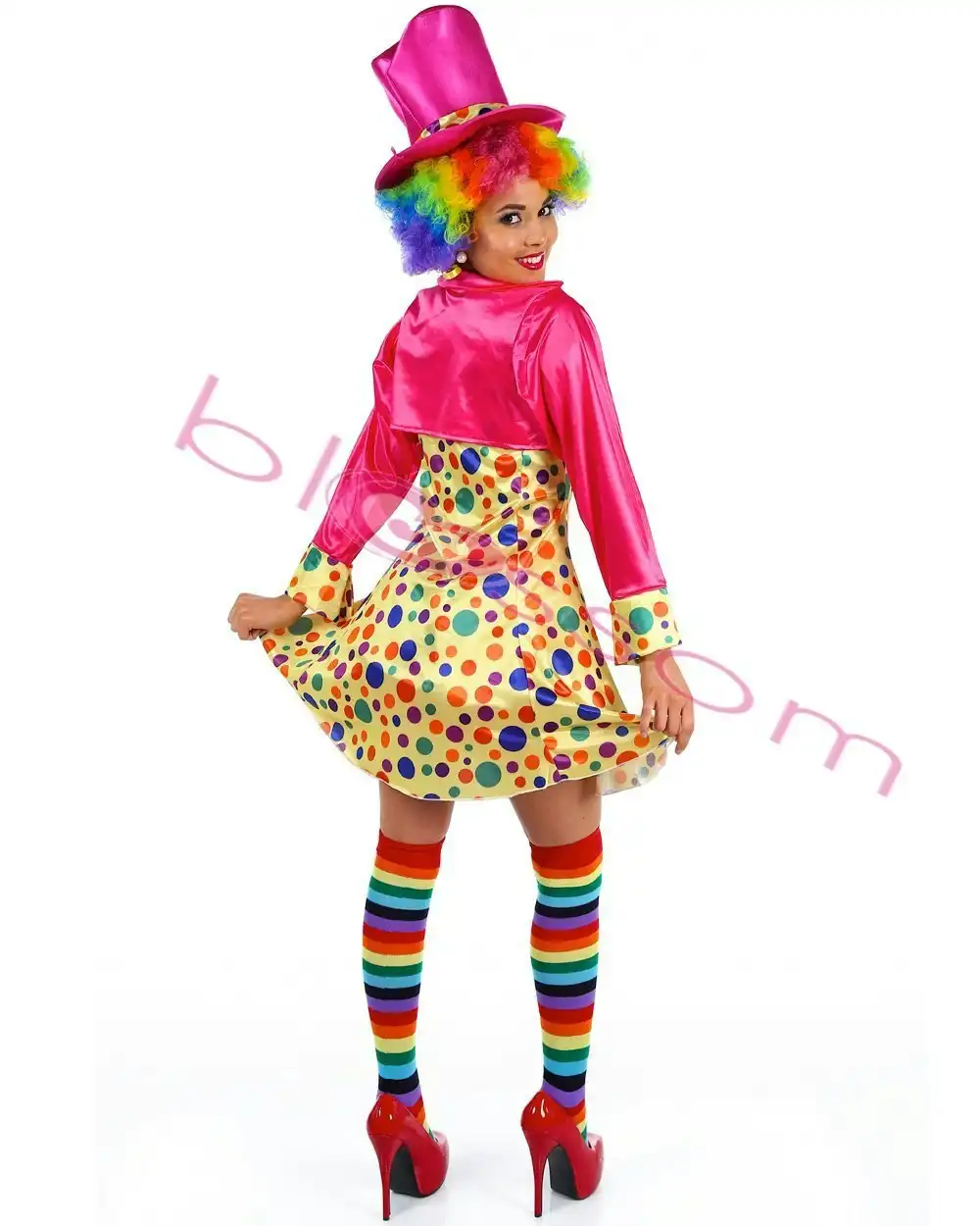 Colourful Funny Clown Womens Costume