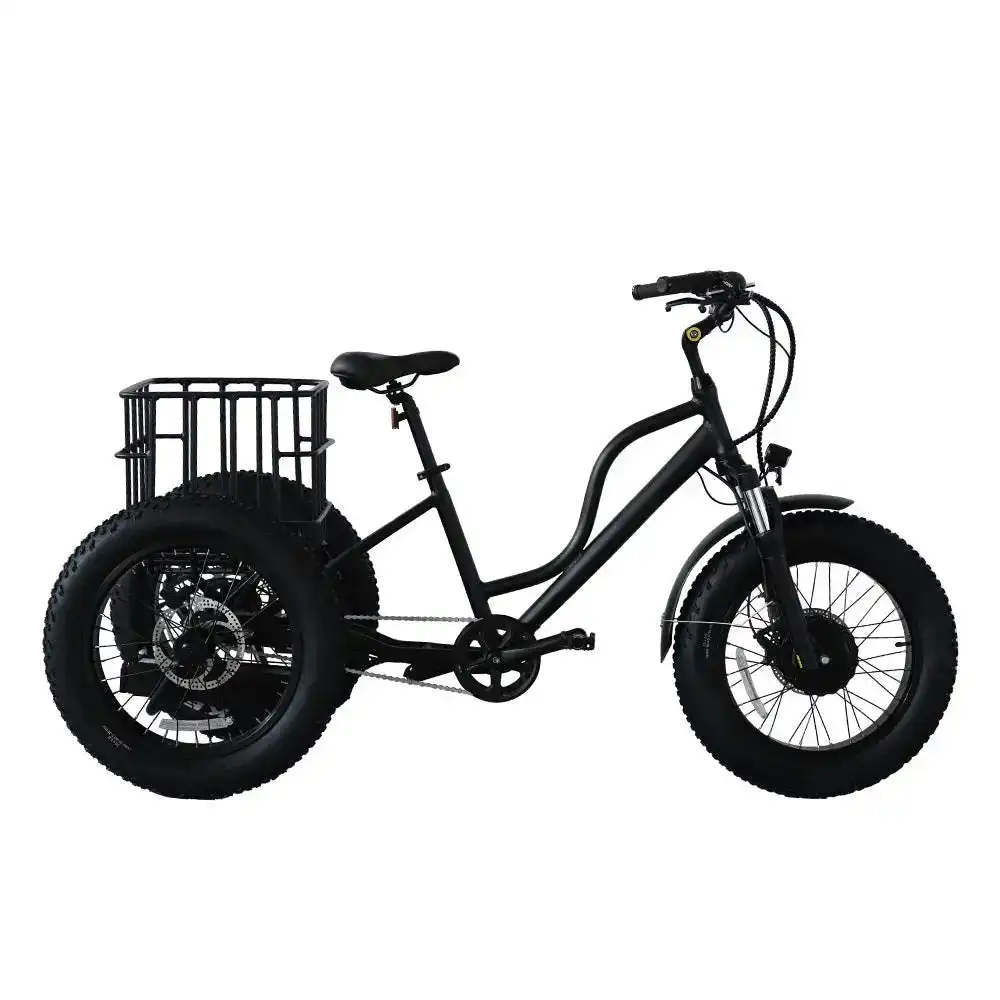 AKEZ 20 inches E-Tricycle PET-008 48V/500W 12Ah