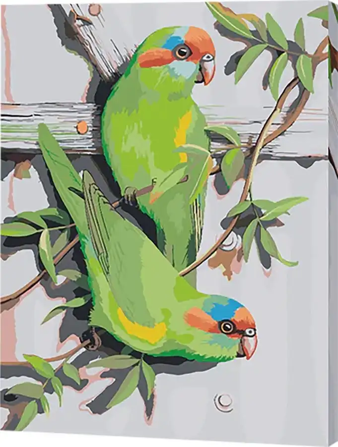 Musk Lorikeets   Paint-By-Numbers 50 x 40 cm