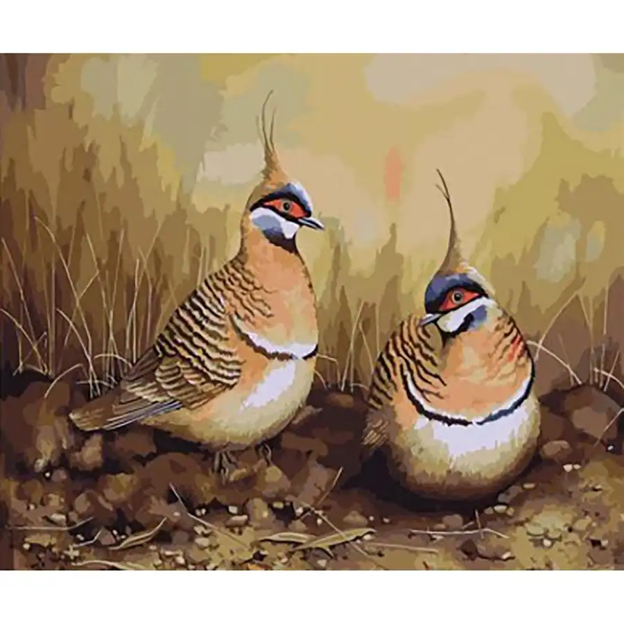 Spinifex Pigeons Paint-By-Numbers