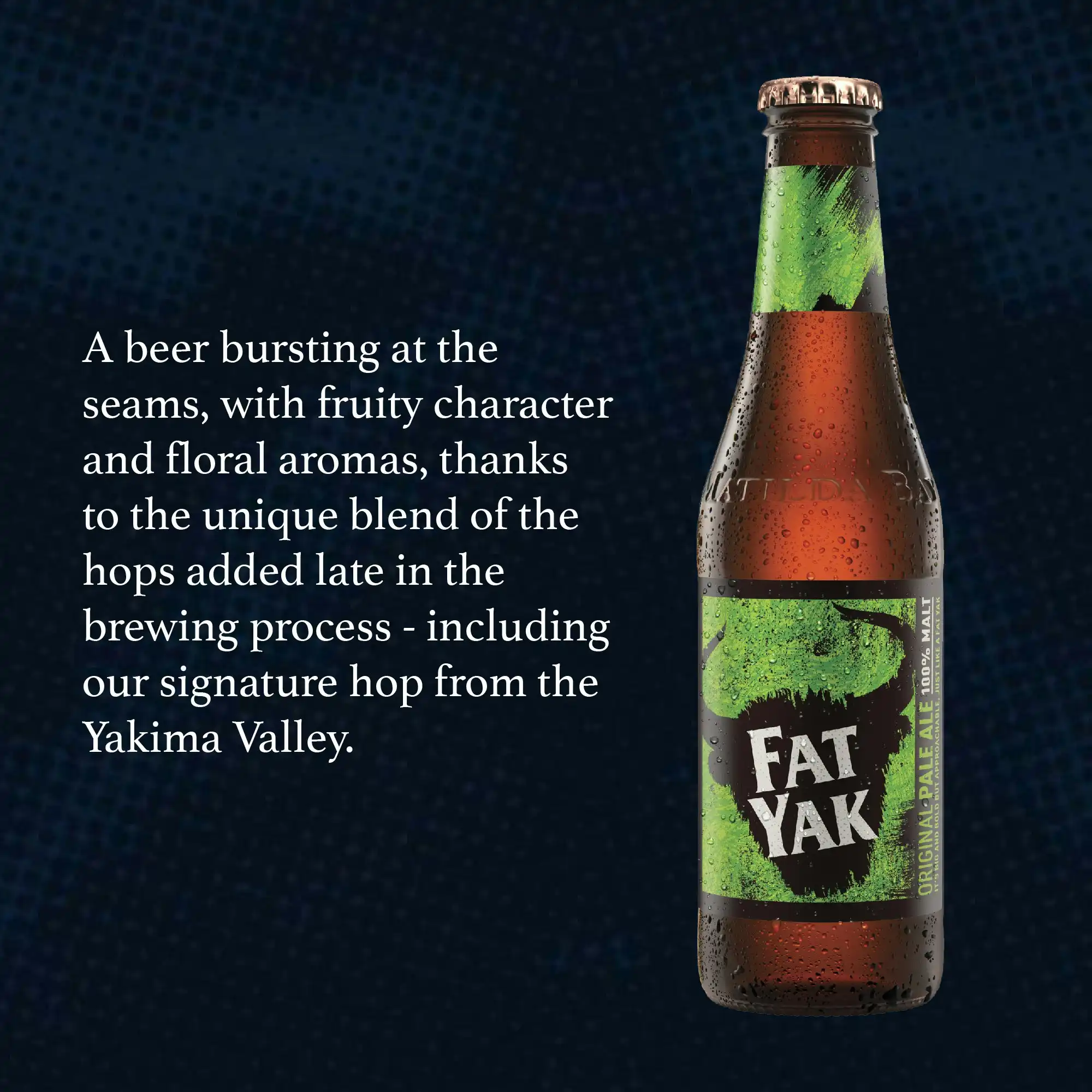 Fat Yak Original Pale Ale Beer Case 24 x 345mL Bottles