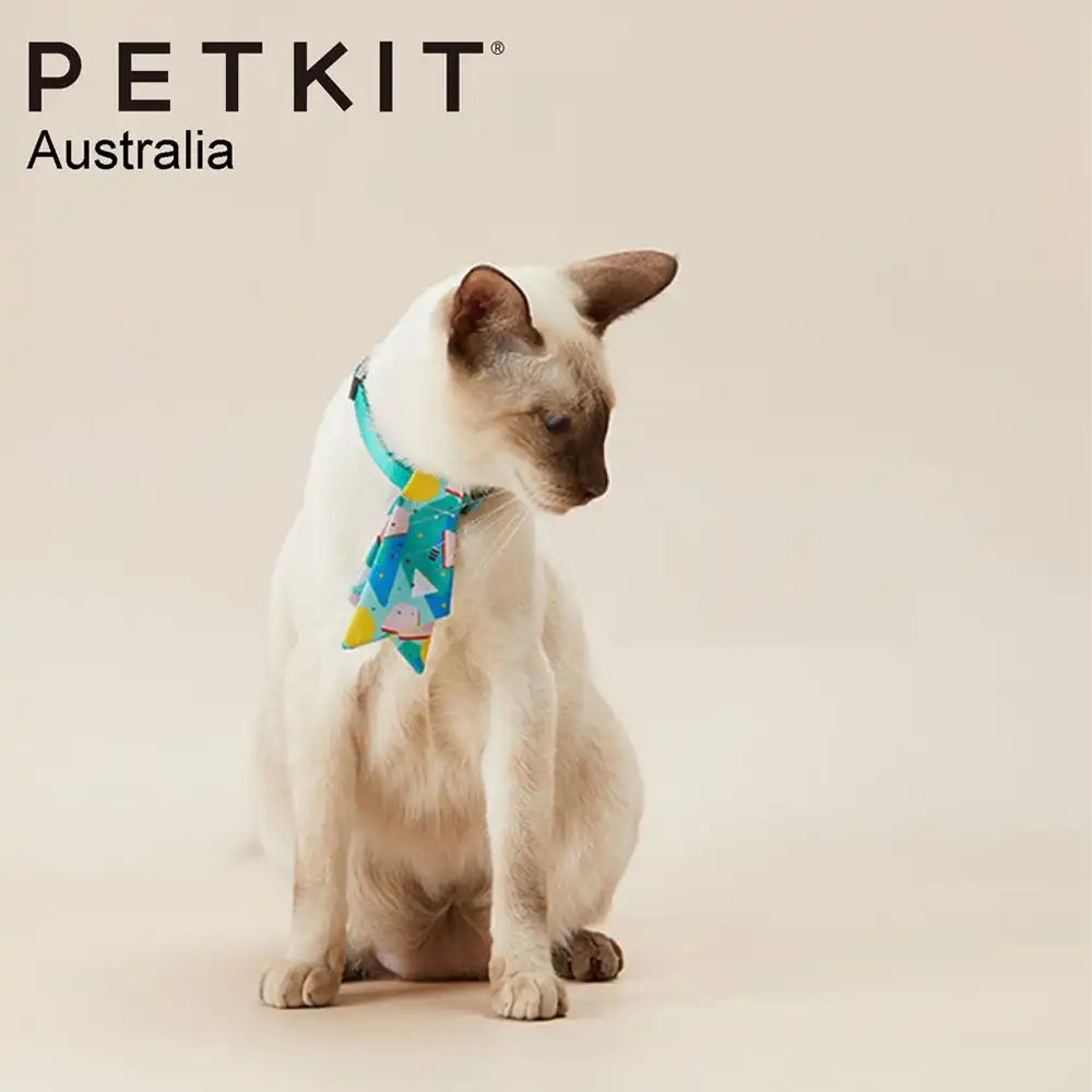 Petkit 9cm Adjustable Wedding/Party Cute Pets Cat Dog Bow Collar Accessory Candy