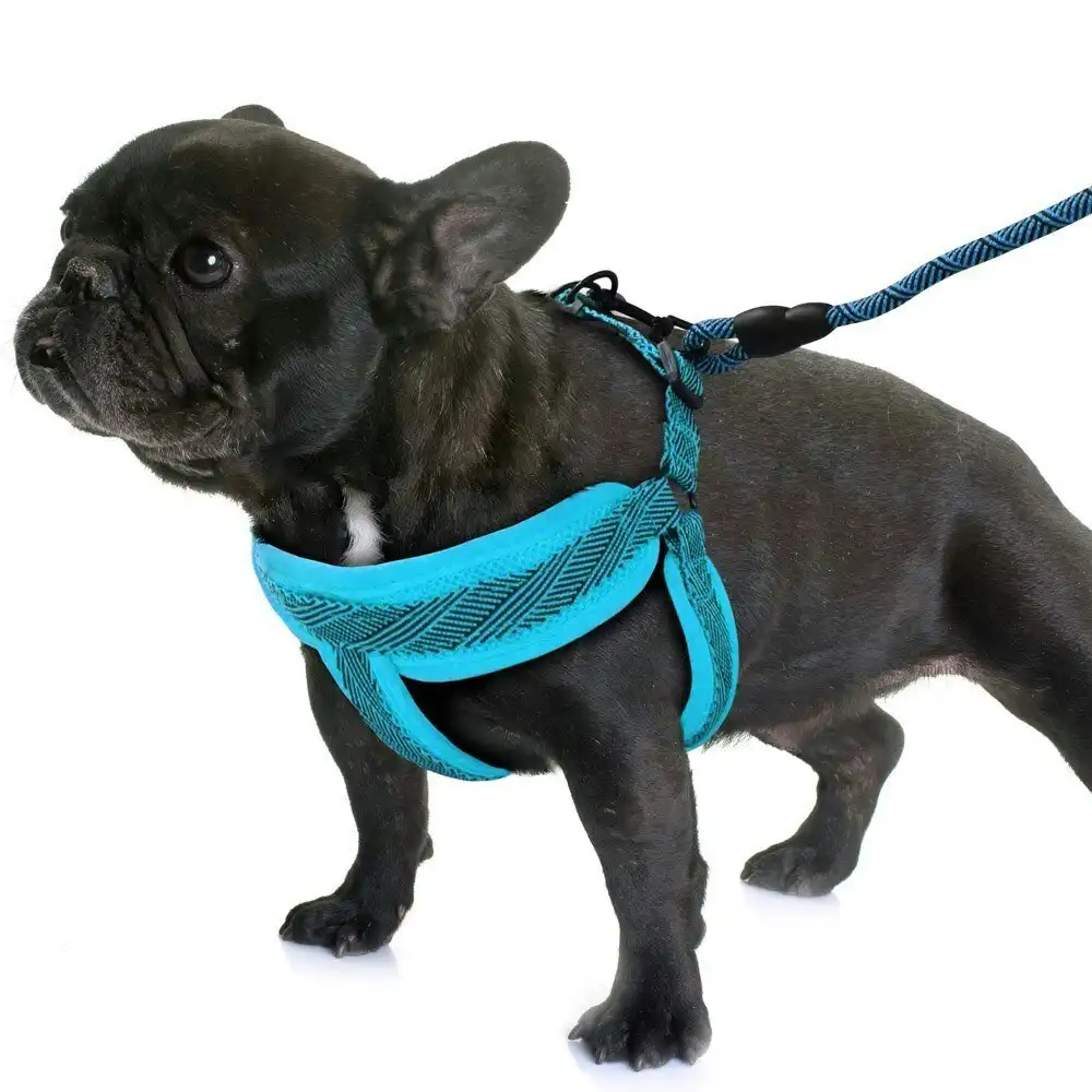 3x Paws & Claws Dog/Pet Mesh 120cm Lead/42-60cm Adjustable Harness Small Assort.