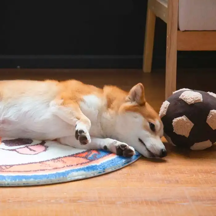 Touchdog 70cm Indoor Grip Round Pet/Cat/Dog Resting Soft Sleep Mat/Pad Schnauzer