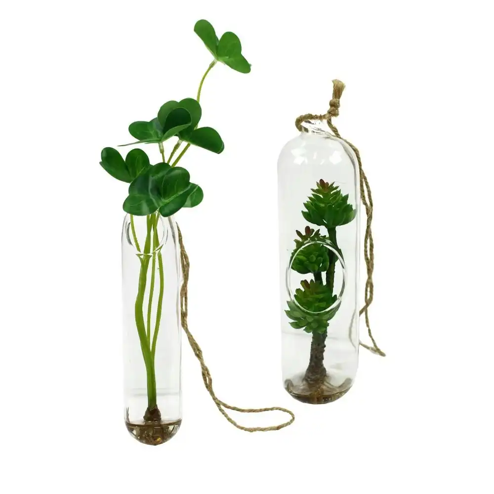 Glamorous Fusion Set Of 2 Succulent Artificial Fake Plant Decorative Arrangement  In Glass Tube
