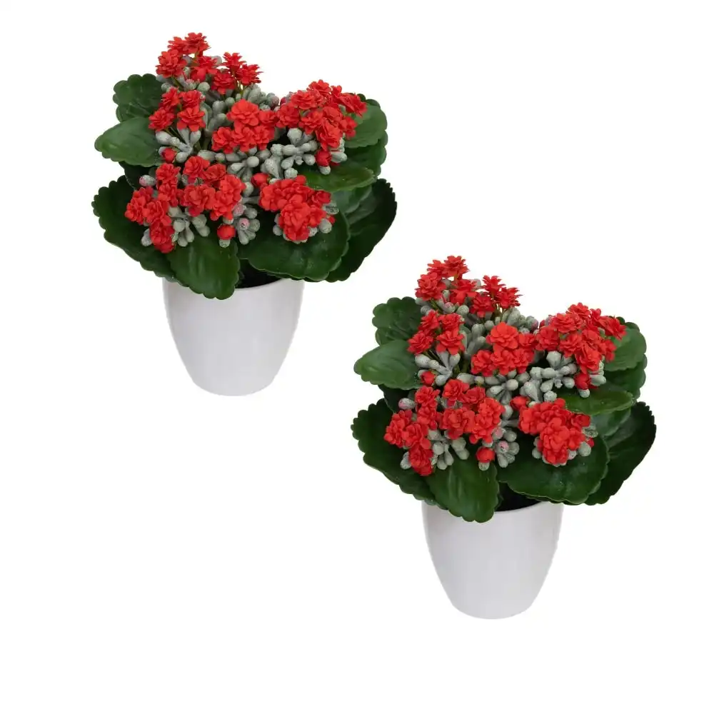 Glamorous Fusion Set Of 2 Kalanchoe Artificial Fake Plant Decorative Arrangement In Pot 20cm Green & Red