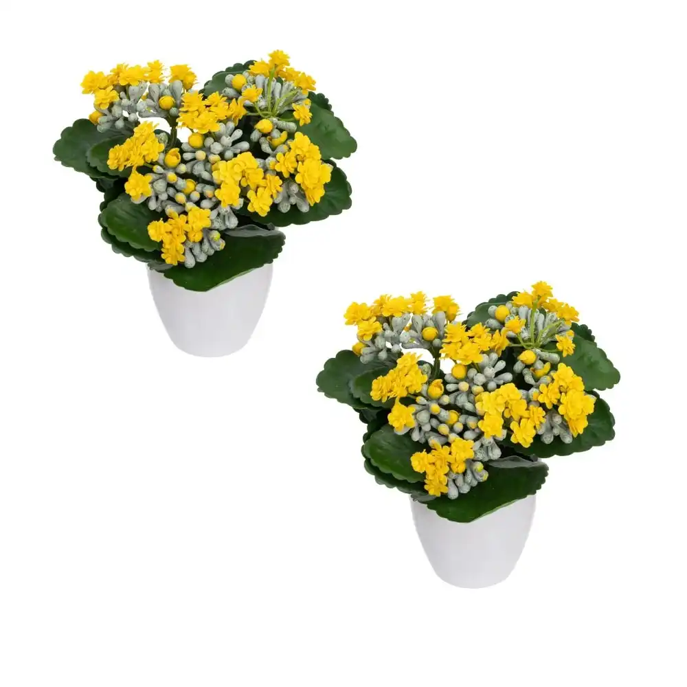 Glamorous Fusion Set Of 2 Kalanchoe Artificial Fake Plant Decorative Arrangement In Pot 20cm Green & Yellow