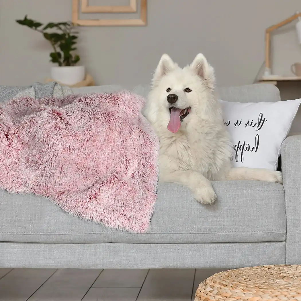 Pawz Dog Blanket Pet Cat Mat Puppy Warm Soft Plush Washable Reusable Large Pink