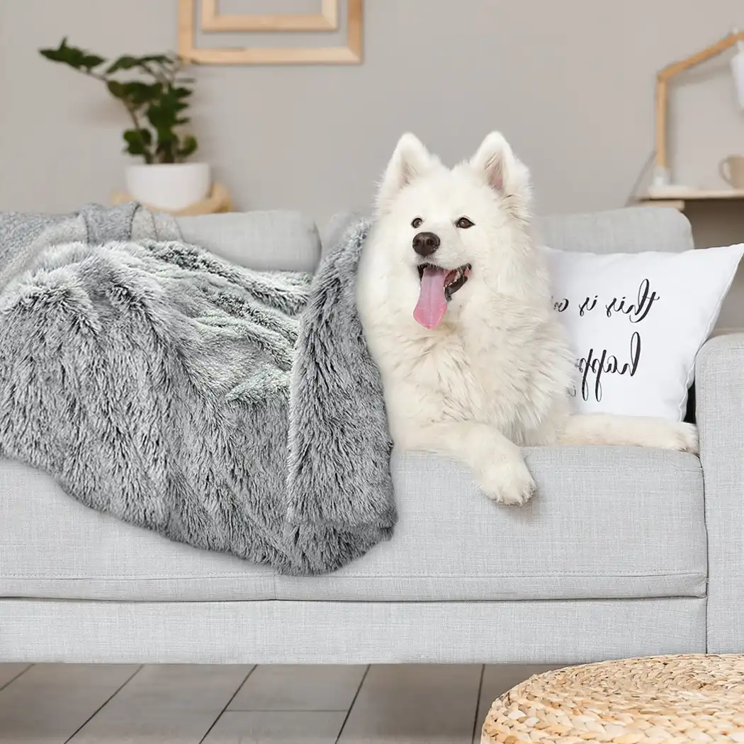 Pawz Dog Blanket Pet Cat Mat Puppy Warm Soft Plush Washable Reusable Large Charcoal