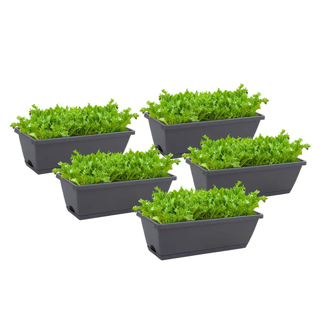 Soga 49.5cm Black Rectangular Planter Vegetable Herb Flower Outdoor Plastic Box with Holder Balcony Garden Decor Set of 5