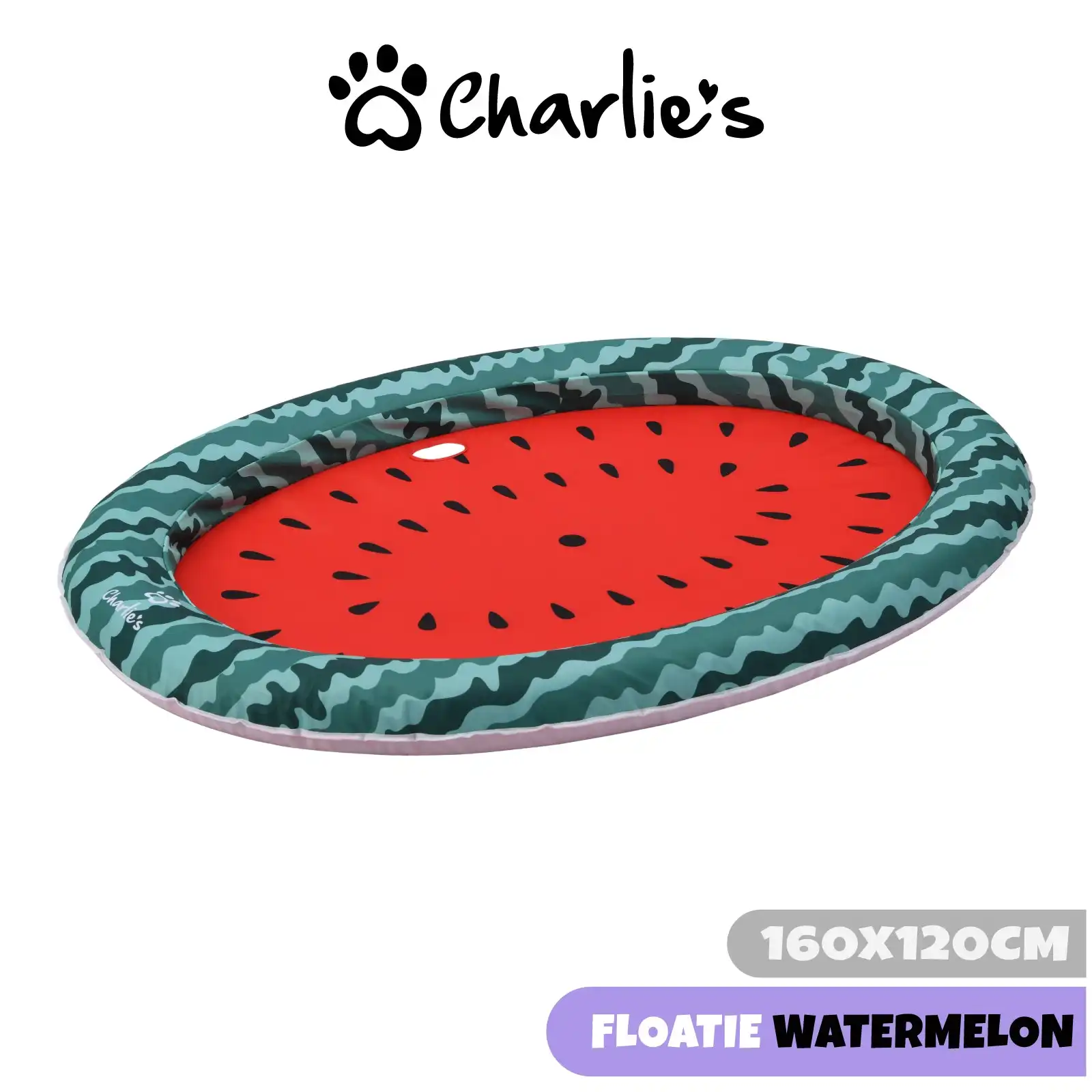 Charlie's Dog Floaties Watermelon 160x120cm
