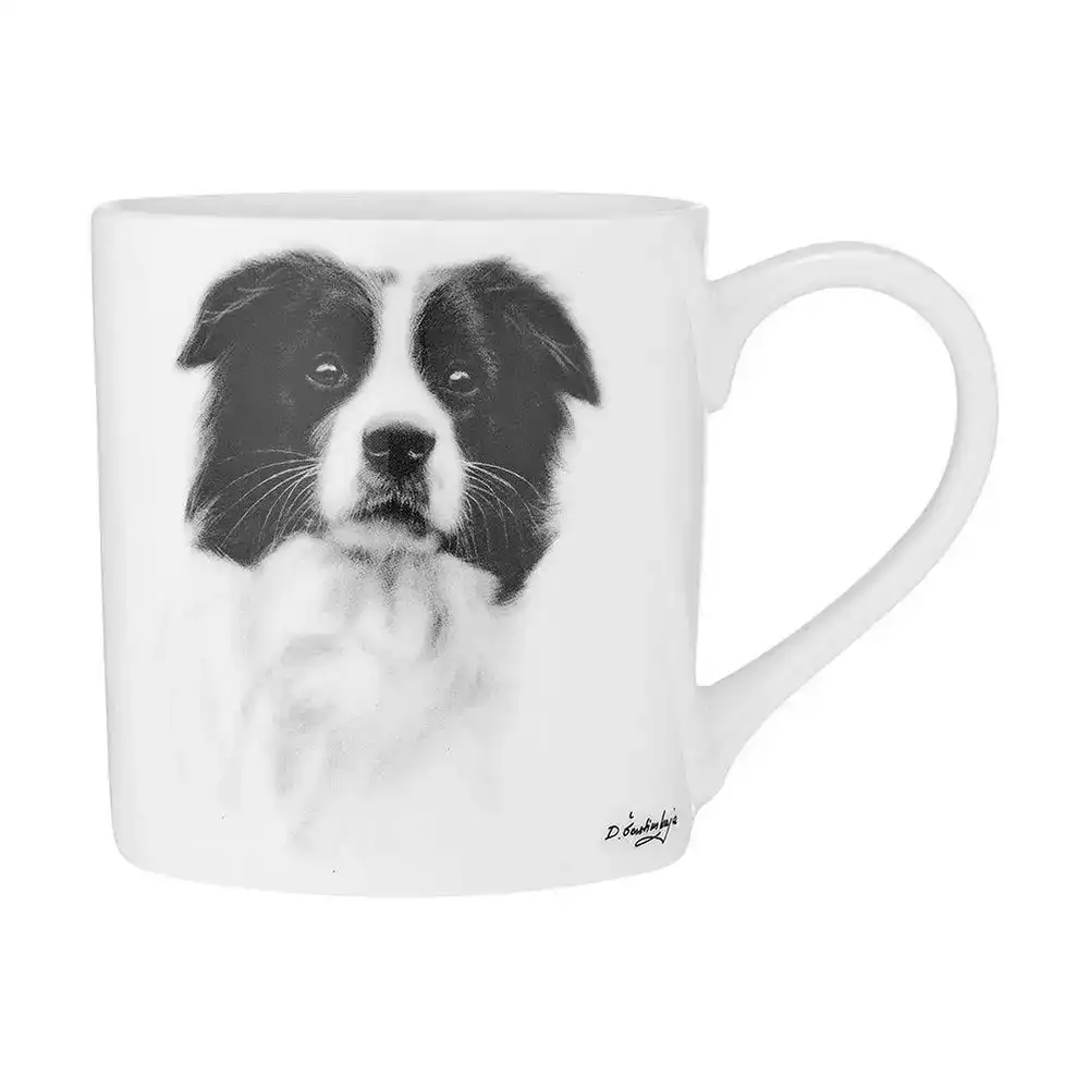 Ashdene Delightful Dogs Border Collie City 330ml Fine Bone Coffee/Tea Drink Mug