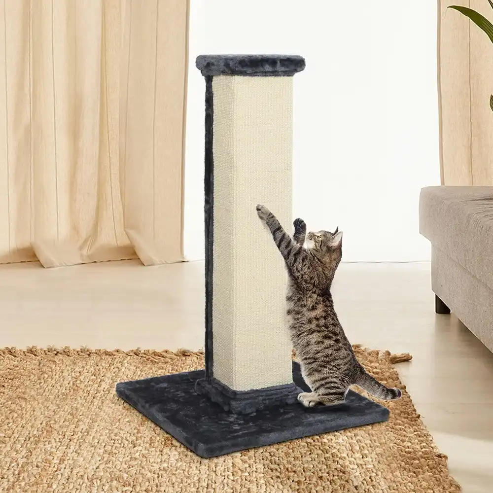 i.Pet Cat Tree Trees 92cm Scratching Post Scratcher Tower Wood Play