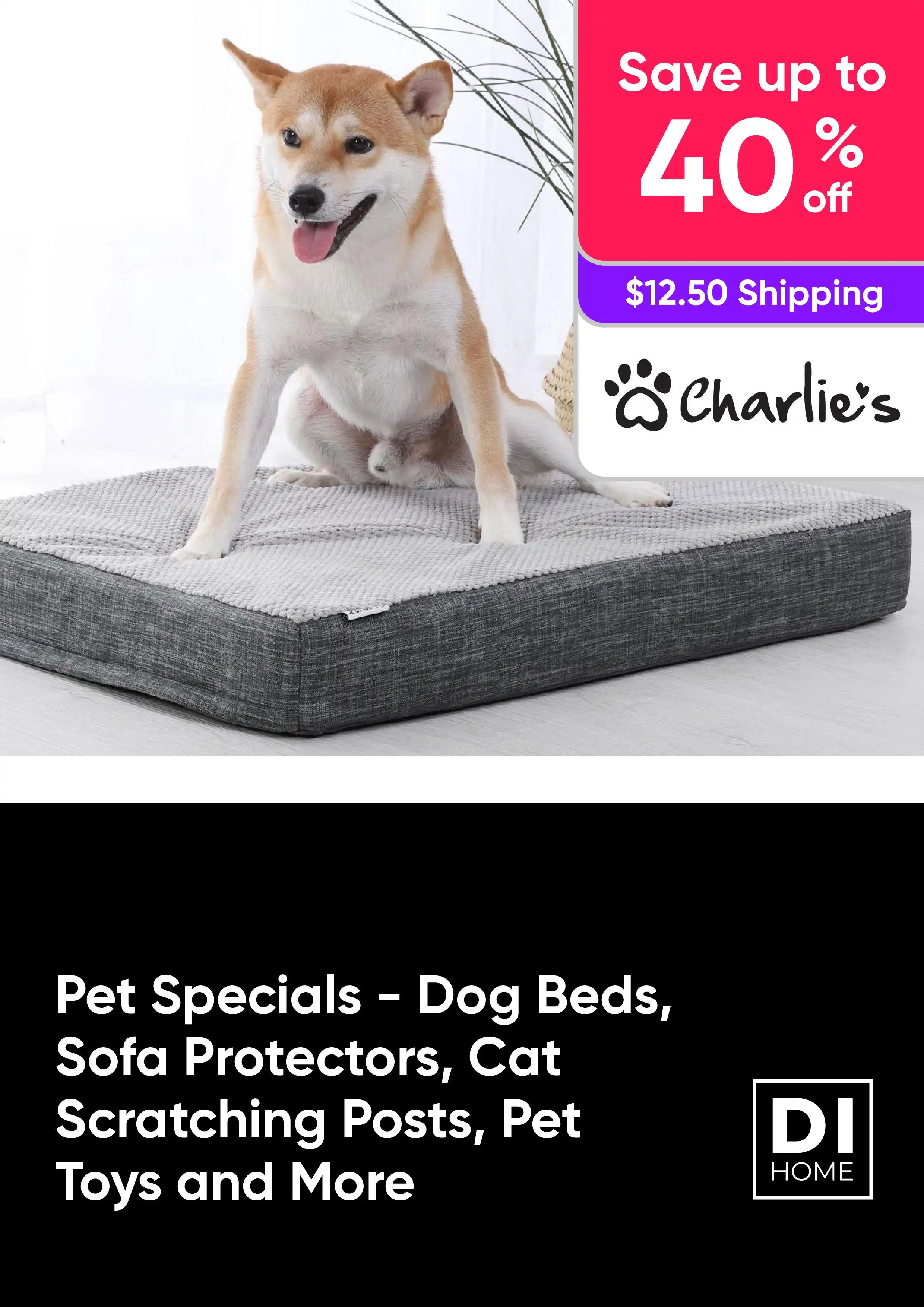 Pet Specials - Dog Beds, Sofa Protectors, Cat Scratching Posts, Pet Toys and More - Save up to 40% off
