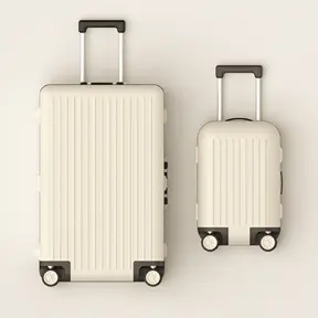 Luggage Accessories