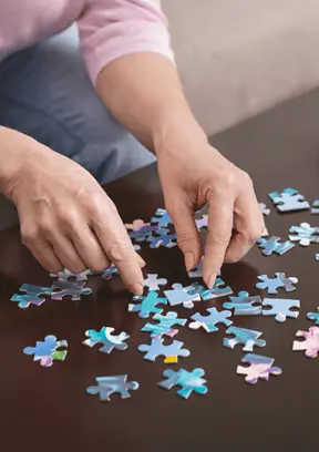 Jigsaw Puzzles