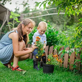 Gardening