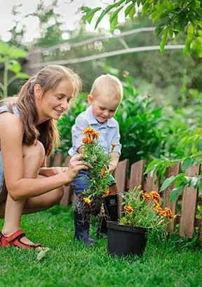 Gardening