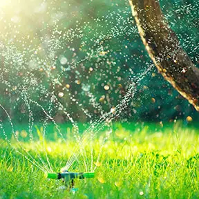 Watering & Irrigation