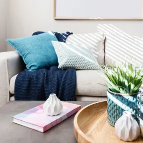 Chair & Sofa Cushions